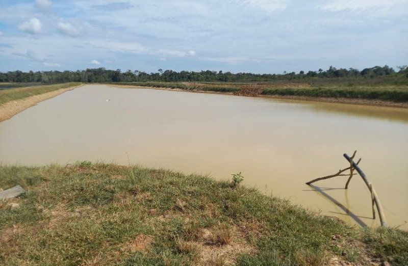 Atividade de irrigação de lavouras de café clonal em Alta Floresta D’Oeste recebe visita técnica