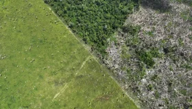 Cerca de 113 km² são desmatados em Rondônia nos primeiros meses de 2023,...
