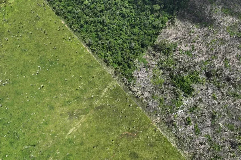 Desmatamento, Amazônia, meio ambiente — Foto: Ueslei Marcelino/Reuters