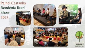 Castanha-do-brasil foi destaque no estande do Sebrae RO na Rondônia Rural Show...