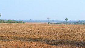 Idaron chama atenção para início do vazio sanitário da soja que começa...