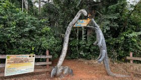 Programação da Semana do Meio Ambiente em Alta Floresta D’Oeste segue até...