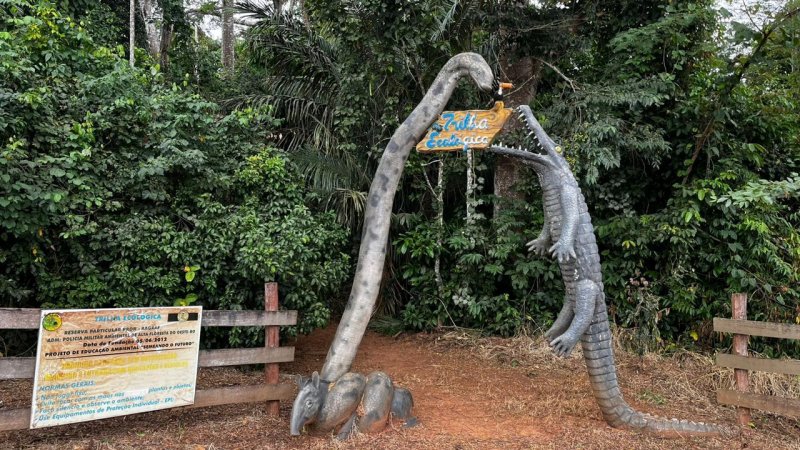 Programação da Semana do Meio Ambiente em Alta Floresta D’Oeste segue até o dia 7 de junho