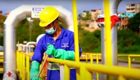 Quatro estados tinham menos de 30% dos domicílios ligados à rede de esgoto em...