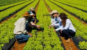 Senar abre mais de 200 vagas em cursos técnicos de zootecnia e agronegócio em...