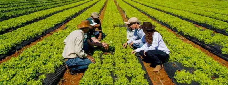 Senar abre mais de 200 vagas em cursos técnicos de zootecnia e agronegócio em Rondônia