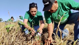 Sicredi inclui sustentabilidade na estratégia de gestão