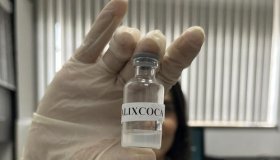 CALIXCOCA: vacina é desenvolvida em MG para o tratamento da dependência em...