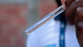 Porto Velho registra queda de 47% nos casos de dengue nos primeiros sete meses...