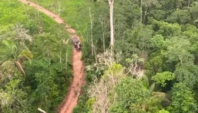 STJ mantém ordem de desocupação do Parque Estadual de Guajará-Mirim em...