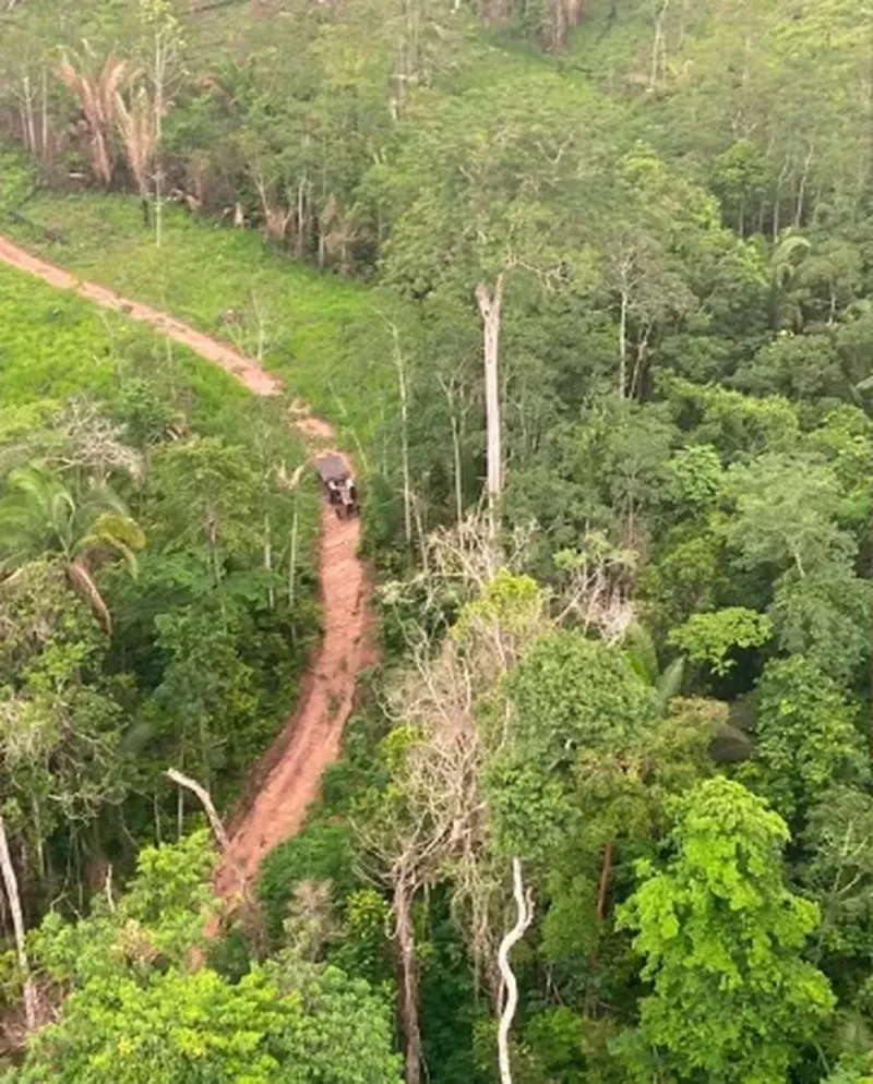 Parque Estadual Guajará-Mirim — Foto: Ministério Público de Rondônia/Divulgação