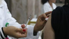 É prematuro atribuir alta de covid-19 à nova variante, diz governo