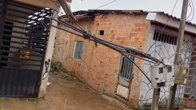 Foto 2 da matéria: Fortes chuvas derrubam árvores e causam prejuízos em Porto Velho