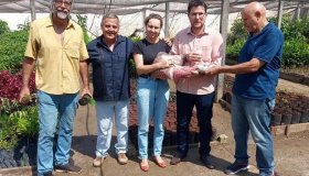 Juiz visita viveiros em Rolim de Moura e repassa sementes de espécies nativas