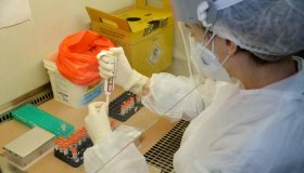 Agendamento de consultas, exames e cirurgias eletivas podem ser realizados via...