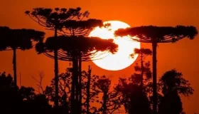 2023 deve ser o ano mais quente em 125 mil anos, diz observatório europeu