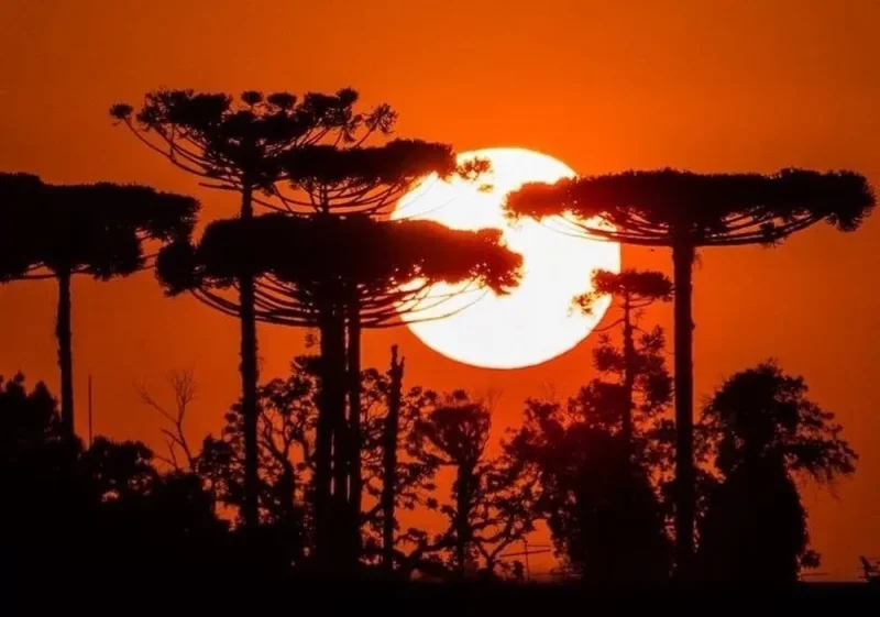 Mês de outubro superou o recorde anterior, de 2019, em 0,4 °C — Foto: Gabriel Bukalowski/g1 Paraná