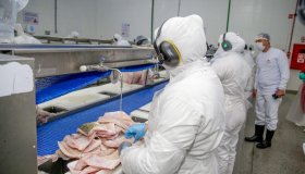 Mais de 2 mil vagas de empregos estão abertas em Rondônia e podem ser...
