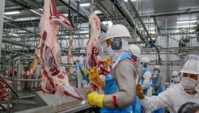 Rondônia gera mais de 124 mil empregos com carteira assinada em 2023