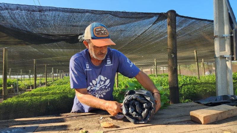 Foto 2 da matéria: Projeto Viveiro Cidadão inicia a distribuição de 36 mil mudas para áreas de restauração em Rondônia