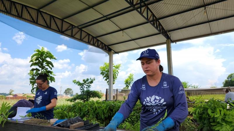 Foto 1 da matéria: Projeto Viveiro Cidadão inicia a distribuição de 36 mil mudas para áreas de restauração em Rondônia