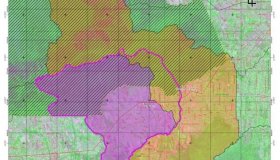 Seringueiras ganha área de 670 km² em disputa com São Miguel do Guaporé;...