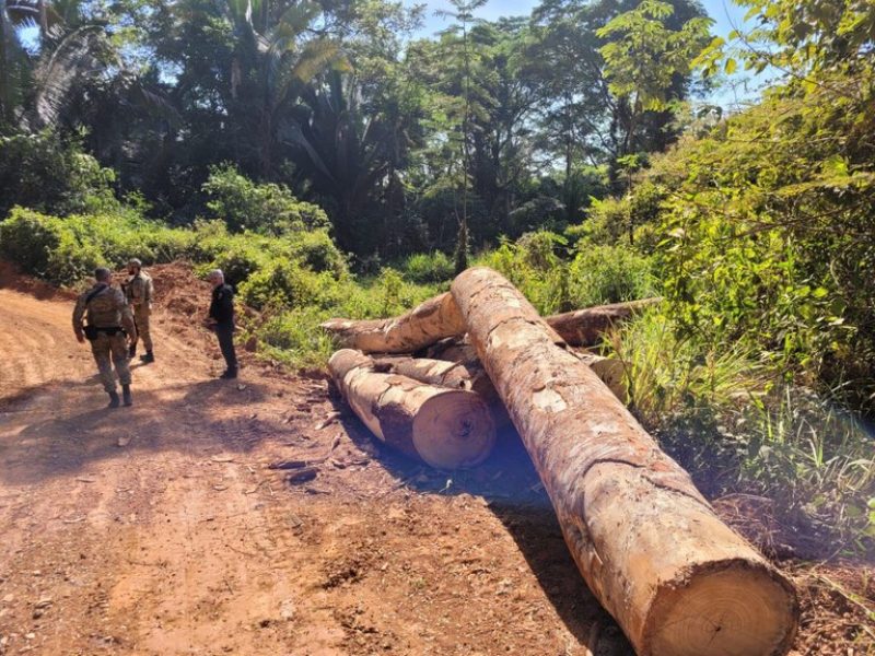 Operação Kaapora: Justiça recebe denúncia do MPF contra associação criminosa que extraía ouro em terra indígena em Rondônia