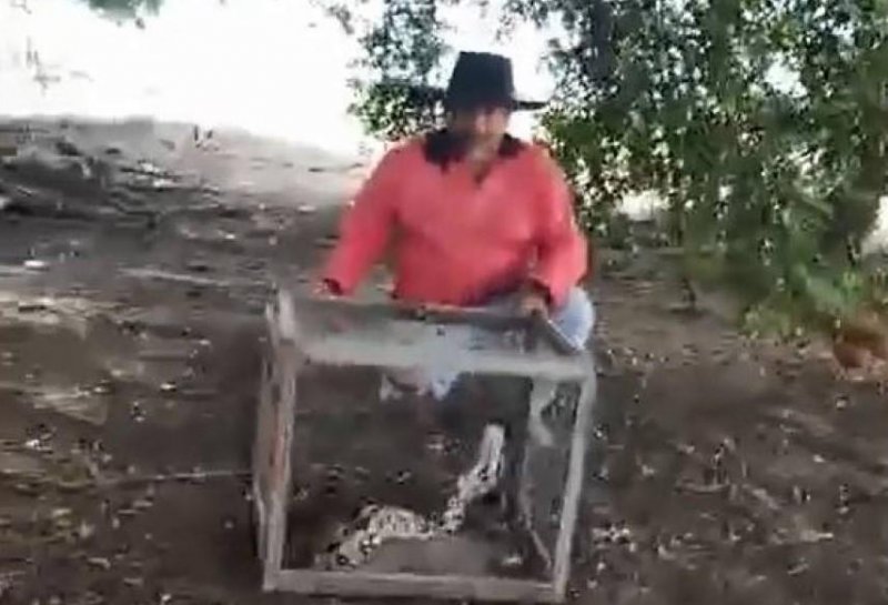 Cabixi: Agricultor e neta de 08 anos capturam grande jiboia que comia galinhas em sítio