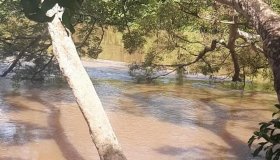 Jovem de 26 anos desaparece após sofrer mal súbito e cair no Rio Urupá, em...