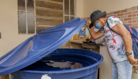 Maioria dos municípios de Rondônia estão em surto de dengue, aponta boletim