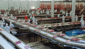 Marfrig anuncia 30 vagas de emprego no frigorífico de Chupinguaia