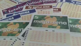 Mega-Sena: 7 apostas de SC cravam dezenas e levam bolada em sorteio com prêmio...