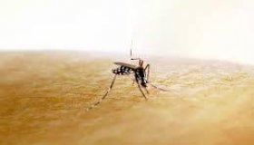 Homem morre com suspeita de dengue grave e caso é investigado em Machadinho...