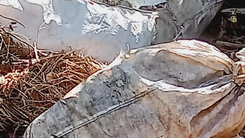 Foto 1 da matéria: Moradores do Esplanada em Rolim de Moura denúnciam pessoas que estão descartando lixo na principal avenida do bairro
