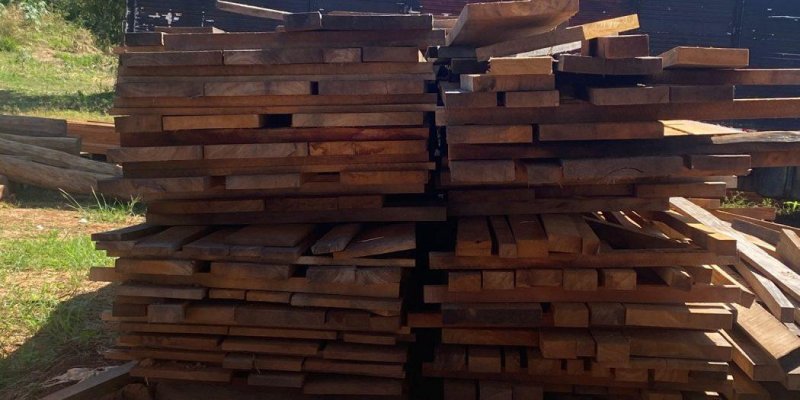 Edital de Leilão de Madeiras Apreendidas e Doadas para o CTPMXI em Alta Floresta d´Oeste/RO