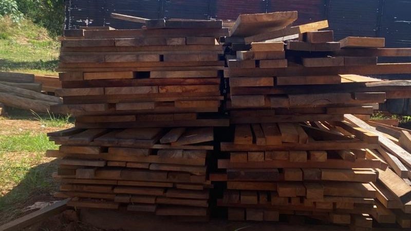 Foto 1 da matéria: Edital de Leilão de Madeiras Apreendidas e Doadas para o CTPMXI em Alta Floresta d´Oeste/RO