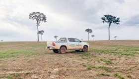 Governo de RO alerta sobre o vazio sanitário da soja que inicia dia 10 de junho