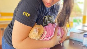 UNIR promove vacinação e vermifugação gratuita para pets
