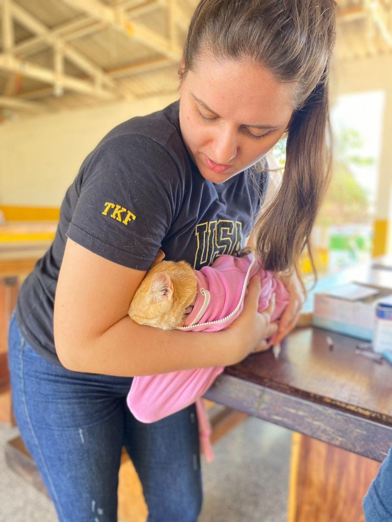 UNIR promove vacinação e vermifugação gratuita para pets