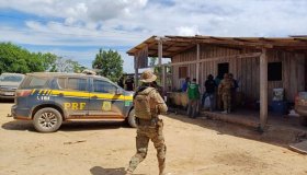 Operação Karipuna: PRF em Rondônia resgata trabalhadores em situação...