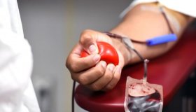 IMPEDIMENTO: Quem esteve na região Norte não pode doar sangue de forma...