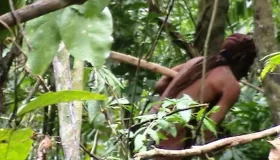 MPF, Funai e fazendeiros não entram em consenso sobre destinação da terra...