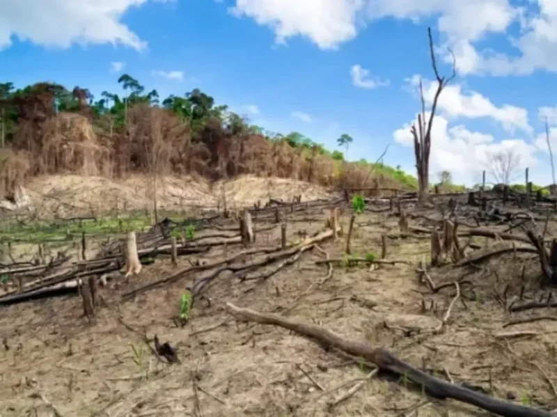 Proprietário de construtora é condenado por desmatar terra indígena em Alta Floresta do Oeste