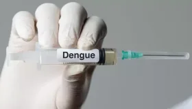 Rondônia recebeu 13 mil doses de vacina contra dengue, mas apenas a cidade de...