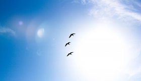 Sol, calor e ar seco na quarta (03)