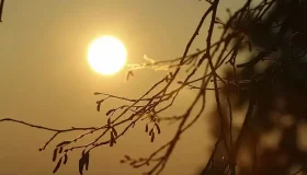 Efeitos da friagem mantêm temperaturas baixas em RO nesta quarta-feira