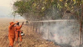 Força-tarefa do Corpo de Bombeiros Militar de Rondônia executa ação de...