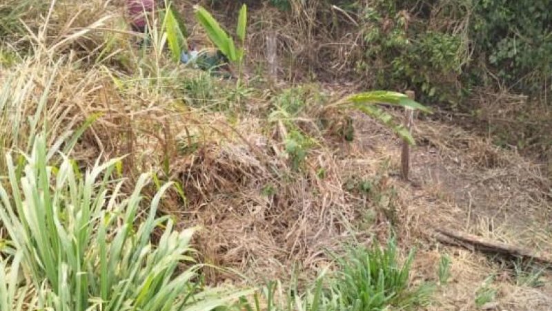 Foto 2 da matéria: Jaru: Jovem Desaparecido é Encontrado com Vida após três dias caído na Margem da BR-364