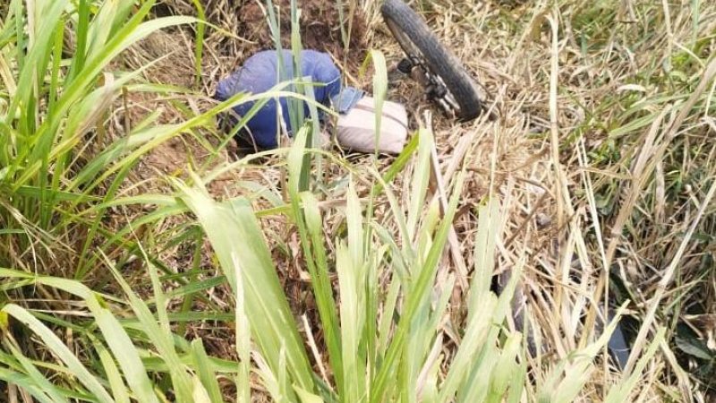 Foto 1 da matéria: Jaru: Jovem Desaparecido é Encontrado com Vida após três dias caído na Margem da BR-364