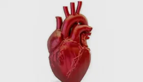 Doenças cardiovasculares matam 400 mil brasileiros por ano